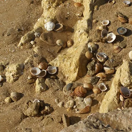 Figueiras * Albufeira