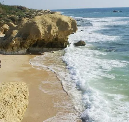 Figueiras Villa Albufeira